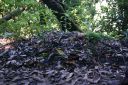 DSC02293.JPG