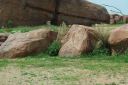 DSC04365.JPG