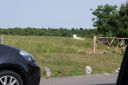 DSC04370.JPG