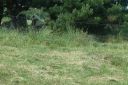 DSC04375.JPG