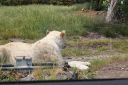 DSC04377.JPG