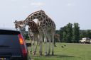 DSC04387.JPG