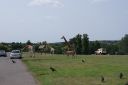 DSC04390.JPG