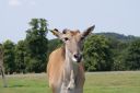 DSC04393.JPG
