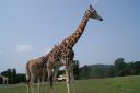 DSC04397.JPG