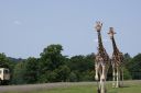DSC04405.JPG