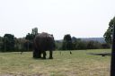 DSC04407.JPG