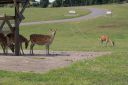 DSC04411.JPG