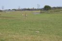 DSC04413.JPG