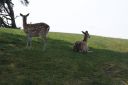 DSC04422.JPG