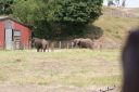 DSC04425.JPG