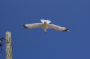 DSC04723.JPG
