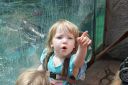 DSC05153.JPG