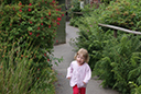 DSC05255.JPG