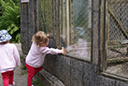 DSC05260.JPG
