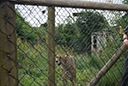 DSC05285.JPG