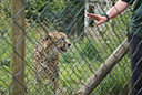 DSC05286.JPG