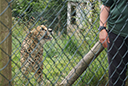 DSC05287.JPG