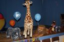 DSC05749.JPG
