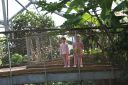 DSC06512.JPG
