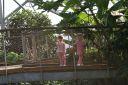 DSC06513.JPG