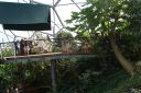 DSC06514.JPG