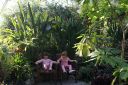 DSC06541.JPG