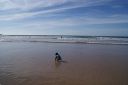 Filename=DSC06222.JPG
Filesize=491KiB
Dimensions=1046x700
Date added=Jul 16, 2024 DSC06222.JPG