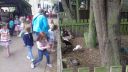 20170527_133401.jpg