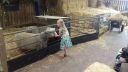 20170527_133821.jpg
