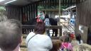 20170527_140535.jpg