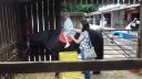 20170527_140659.jpg