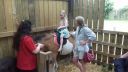20170527_140825.jpg