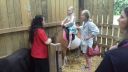 20170527_140837.jpg