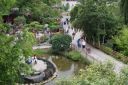 DSC06694.JPG