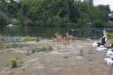 DSC06705.JPG