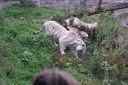 DSC06724.JPG
