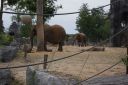 DSC06729.JPG