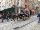 IMG_4029.JPG