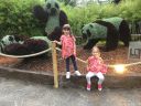 IMG_4147.JPG