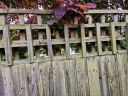 20200612_135706.jpg