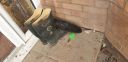 Filename=20220419_074656.jpg
Filesize=942KiB
Dimensions=1440x700
Date added=Dec 10, 2024 20220419_074656.jpg