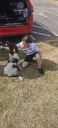 Filename=20220717_101730.jpg
Filesize=296KiB
Dimensions=322x700
Date added=Dec 19, 2024 20220717_101730.jpg