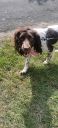 Filename=20220717_101829.jpg
Filesize=343KiB
Dimensions=322x700
Date added=Dec 19, 2024 20220717_101829.jpg