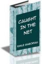 caught_in_the_net.jpg