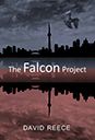 The_Falcon_Project.jpg