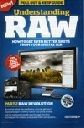 understanding_raw.jpg