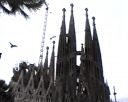 uvs120703-022.jpg