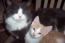 Filename=000_0022.jpg
Filesize=659KiB
Dimensions=1051x700
Date added=Apr 01, 2012 000_0022.jpg