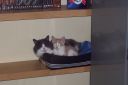 Filename=000_0027.jpg
Filesize=566KiB
Dimensions=1051x700
Date added=Apr 01, 2012 000_0027.jpg